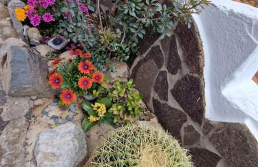 Villa Quattro Archi - Foto 67