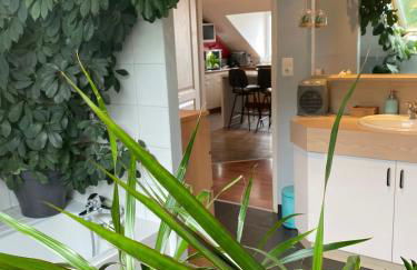 La Gentiane bleue, vue lac Saint Point - Foto 24