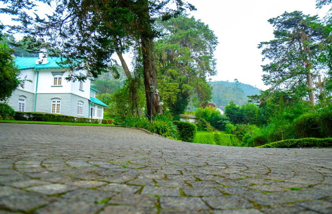 Brockenhurst Bungalow - Foto 29