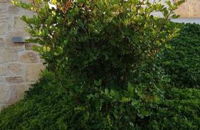 Galini Breeze - Foto 47