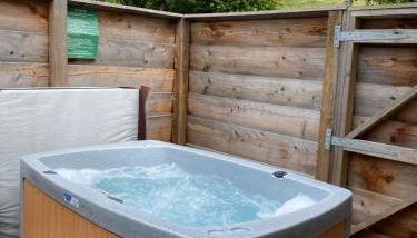 Badger Lodge with Hot Tub - Foto 5
