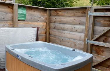 Badger Lodge with Hot Tub - Foto 5