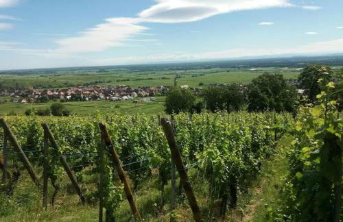 Au petit Bretzel - Photo 26