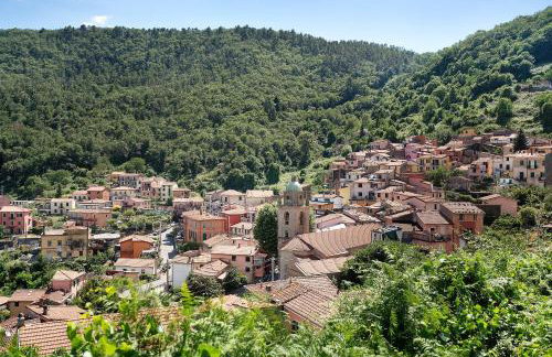 Acciuga House - Photo 25