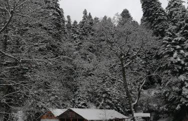 Xenonas Kypseli - Foto 65