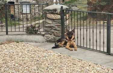 La nueva Escuela - Foto 13