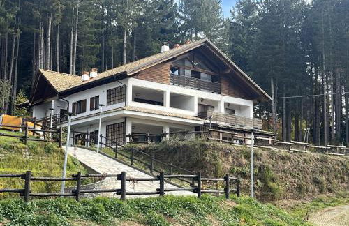 Tra il bosco e il lago - Foto 24