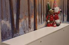 HOLIDAY HOME un piccolo angolo per il tuo relax tra gnomi e natura - Foto 7