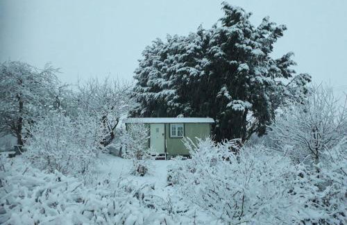 Abbey Farm Glamping & Cottage - Foto 9