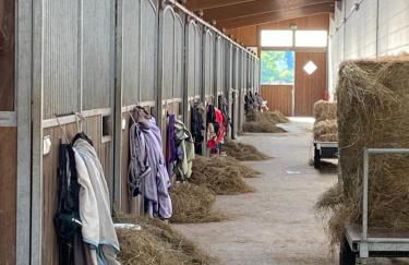 Heidegut Eschede Reitsportanlage und Feriendorf - Foto 49