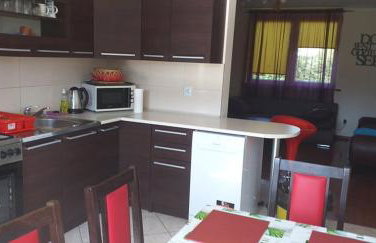 Waszczyszynówka Bieszczady - Foto 12