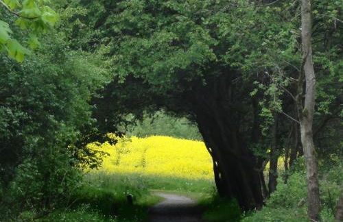 Ferienwohnung Ebsen - Foto 25