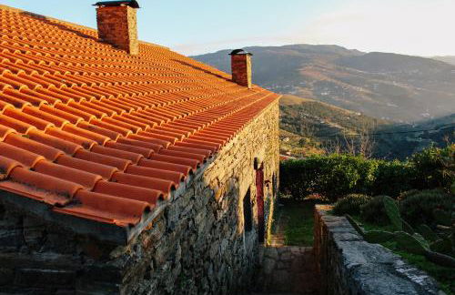 Cardenha do Douro - Photo 35