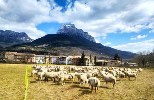 Apartamentos Casa Modesto - Foto 15
