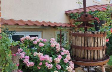 Moderni apartman Tina - Foto 42