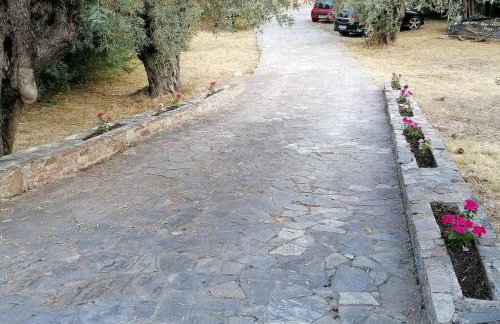 Christie's ground floor apartment by the sea - Foto 28