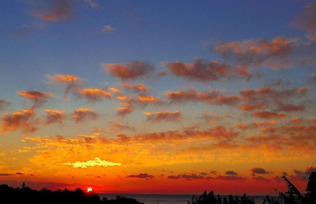 Yakushima Cottage Morino Fairy - Photo 18