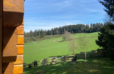 Chalet bois au calme, en lisière de forêt, balcons, sentiers balades Gérardmer & Alsace "Chalet Mon beau sapin" - Foto 34