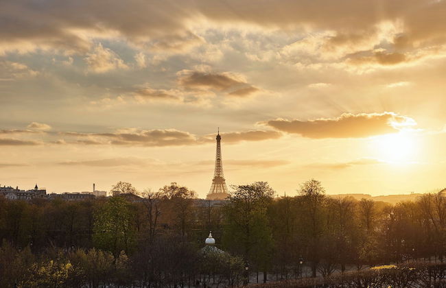 Le Meurice - Dorchester Collection - Photo 73
