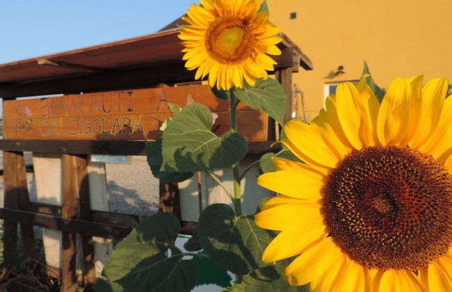 Società Agricola Cacigolara - Foto 50