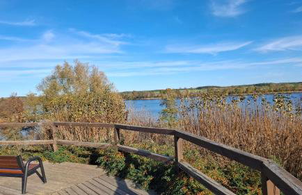 Apartament w Pszczewie nad jeziorem Duży Szarcz - Foto 29