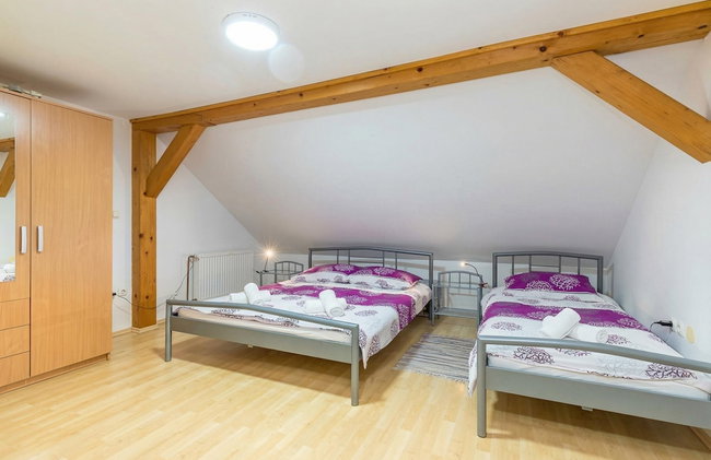 Forge Of Happiness - Foto 12