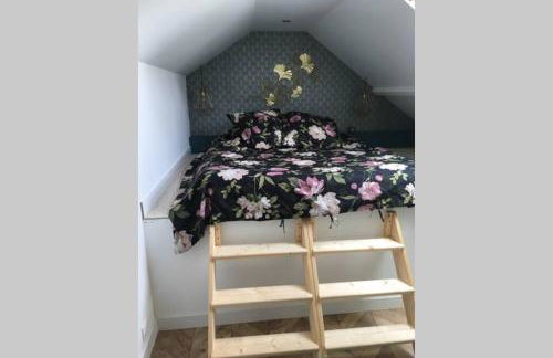 La petite Brainoise - Gîte avec salle jacuzzi 120 jets - Foto 37