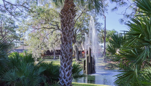 Yellow Pine Duplex Close to Pool & Tennis - Foto 5, Exterior