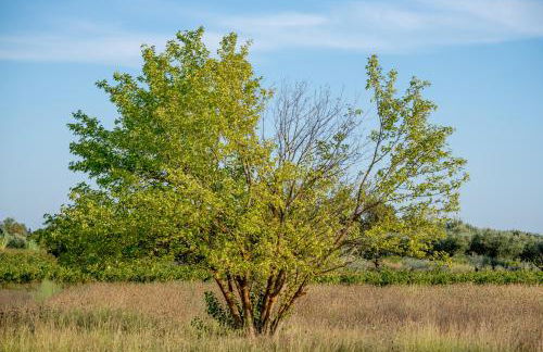 Jenny's House - Foto 39