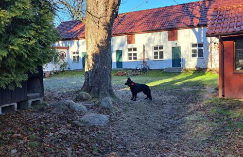 Łabądkowo - Foto 74