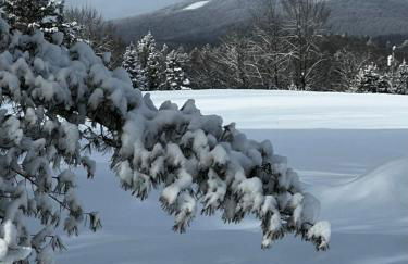 New! Designer 3BR Cabin Walk to Pond Mtn Views - Foto 64