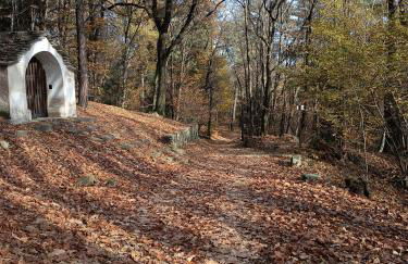 cherryhome - Photo 24