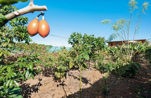 Apartamento las Viñas 2 - Foto 27