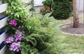 Feriendomizil Annette`s Scholle - Photo 9