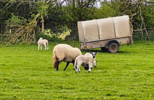 2 Bed in Penrith oc-g31989 - Foto 26