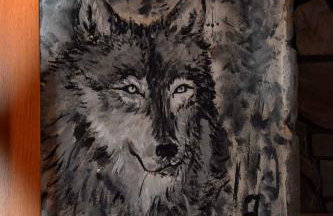 Domek Dzikusówka Bieszczady Solina Polańczyk - Foto 14