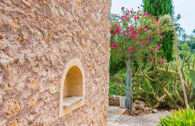 Can Pina - Eco Pina - - Photo 23