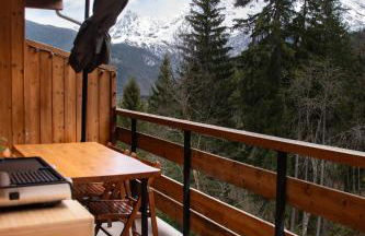 Studio cabine Au Loup Blanc avec vue Mont Blanc - Foto 15