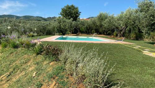 PODERE IL QUADRO - Photo 5