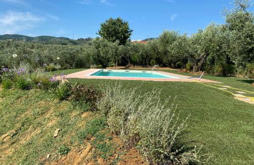 PODERE IL QUADRO - Foto 5