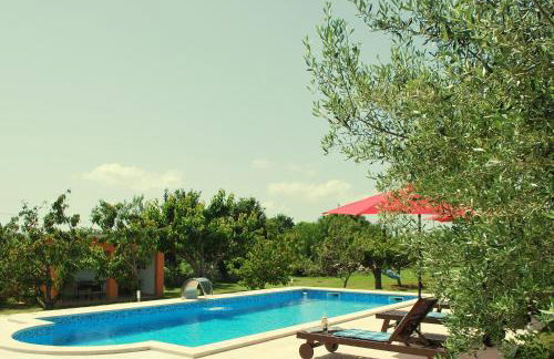 Villa Dorina - Foto 15