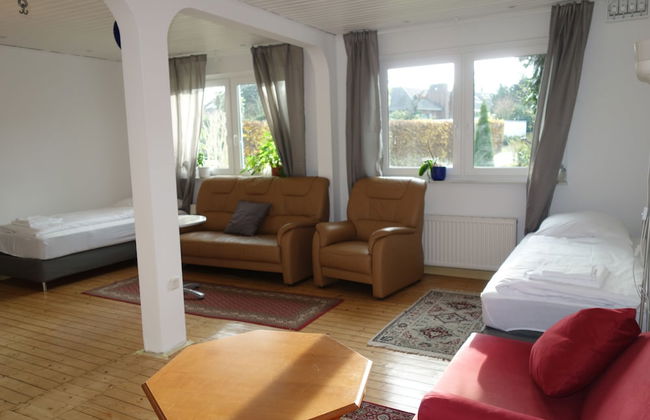 Tolstov-Hotels Large 3 Room Apartment with Garden - Foto 9