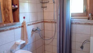 Imanje Jelaš - Foto 2, towels, Shower