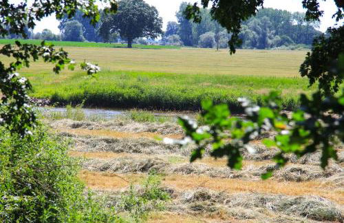 Ferienhaus Klein Finnland - free Wifi - Foto 22