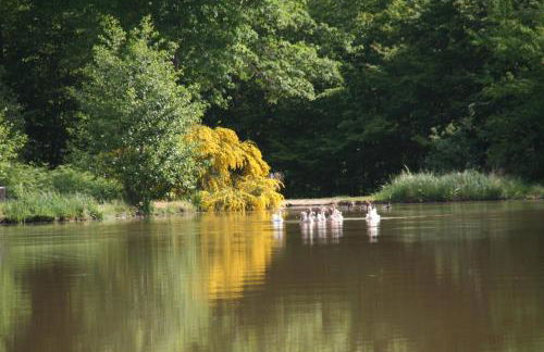 Château Le Brun - Loire Valley and vineyards - Foto 17