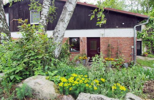 Ferienwohnung am Dümmer See - Foto 29