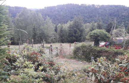 Ferienhaus am Rennsteig - Photo 13