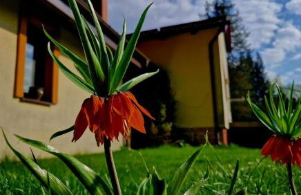 Domek nad Jeziorem Lewinko Kaszuby - Photo 8