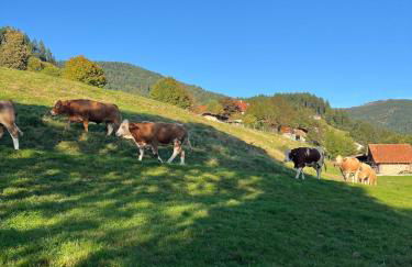 Bachnixe 1 - Foto 16