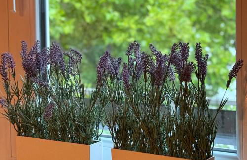 Holziges Dachgeschoss-Apartment - Foto 13